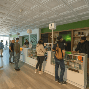 Who has the best Green Wednesday deals in Rochester NY